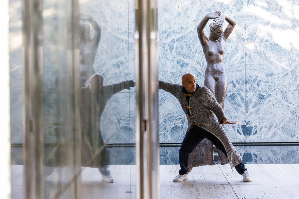 never demolish intervention at mies van der rohe pavilion
