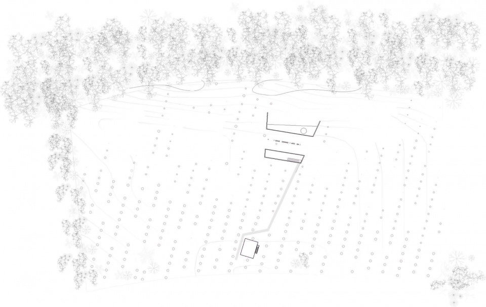 Avocado House by Francisco Pardo