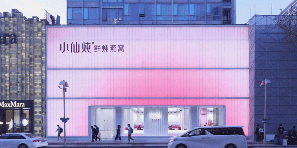 Xiaoxiandun Fresh Stewed Edible Bird s Nest Beijing Flagship Store by Leaping Creative