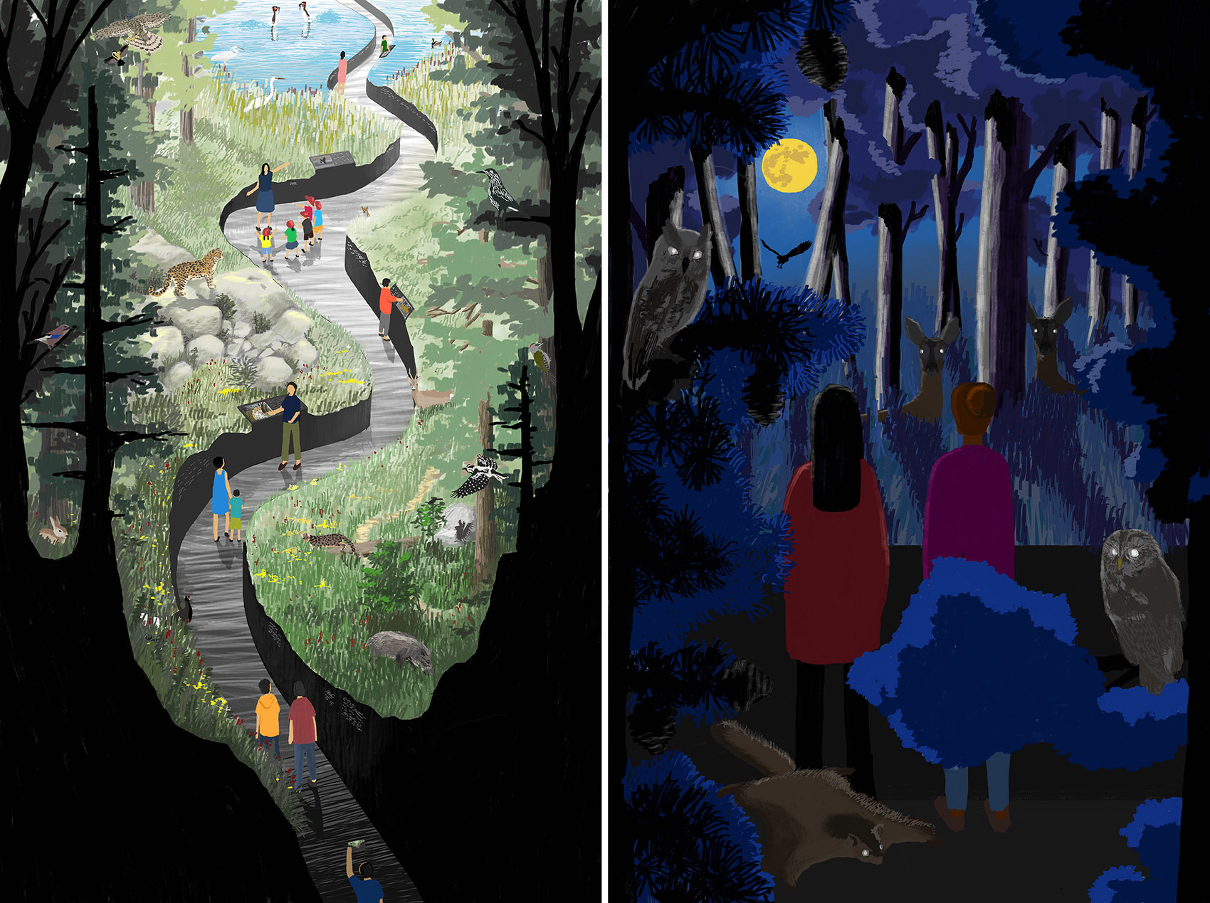 Selected projects with illustration drawings