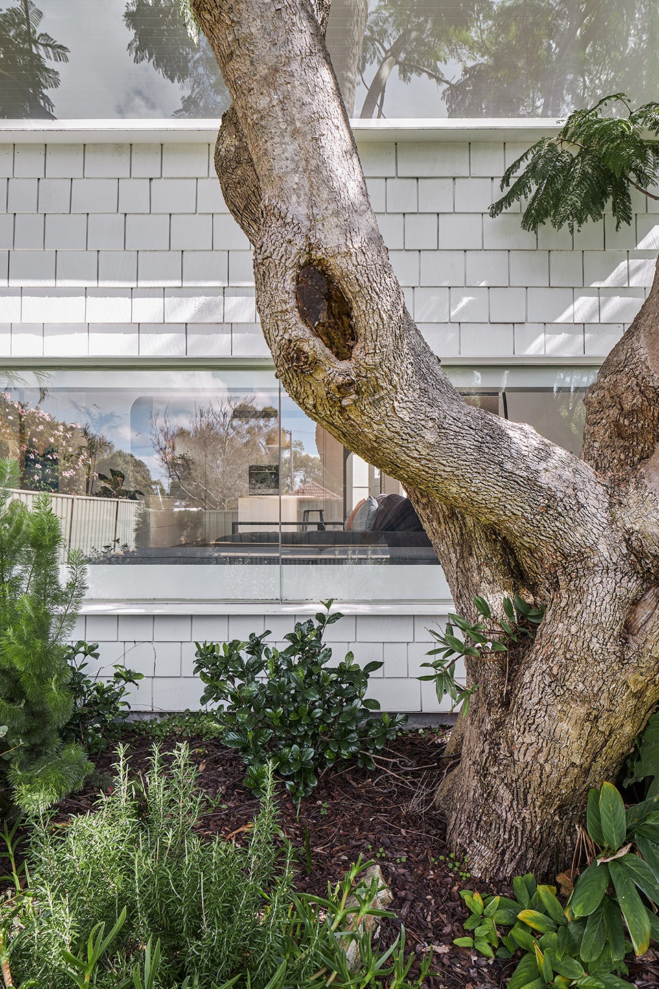 house flower by berresford architecture