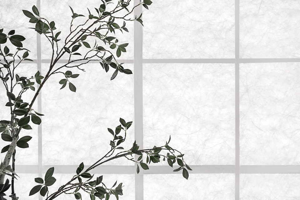 changshu yoga studio china by summer design studio