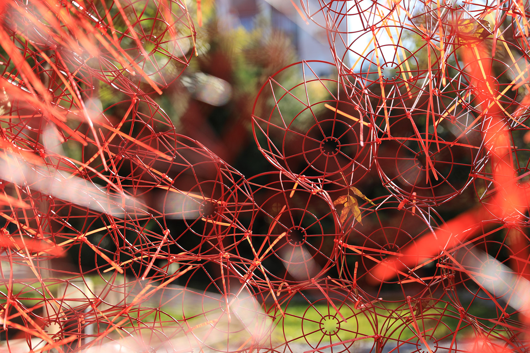 red rock china by beijing forestry university