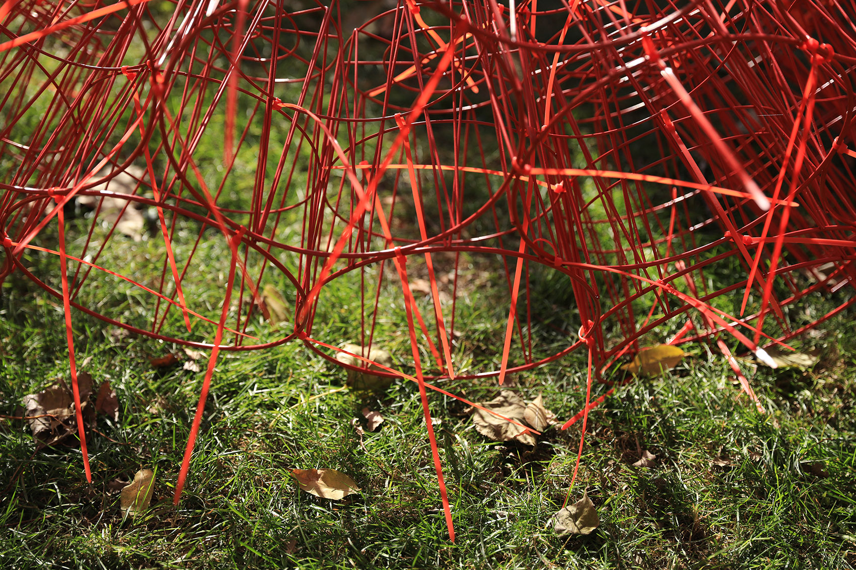 red rock china by beijing forestry university