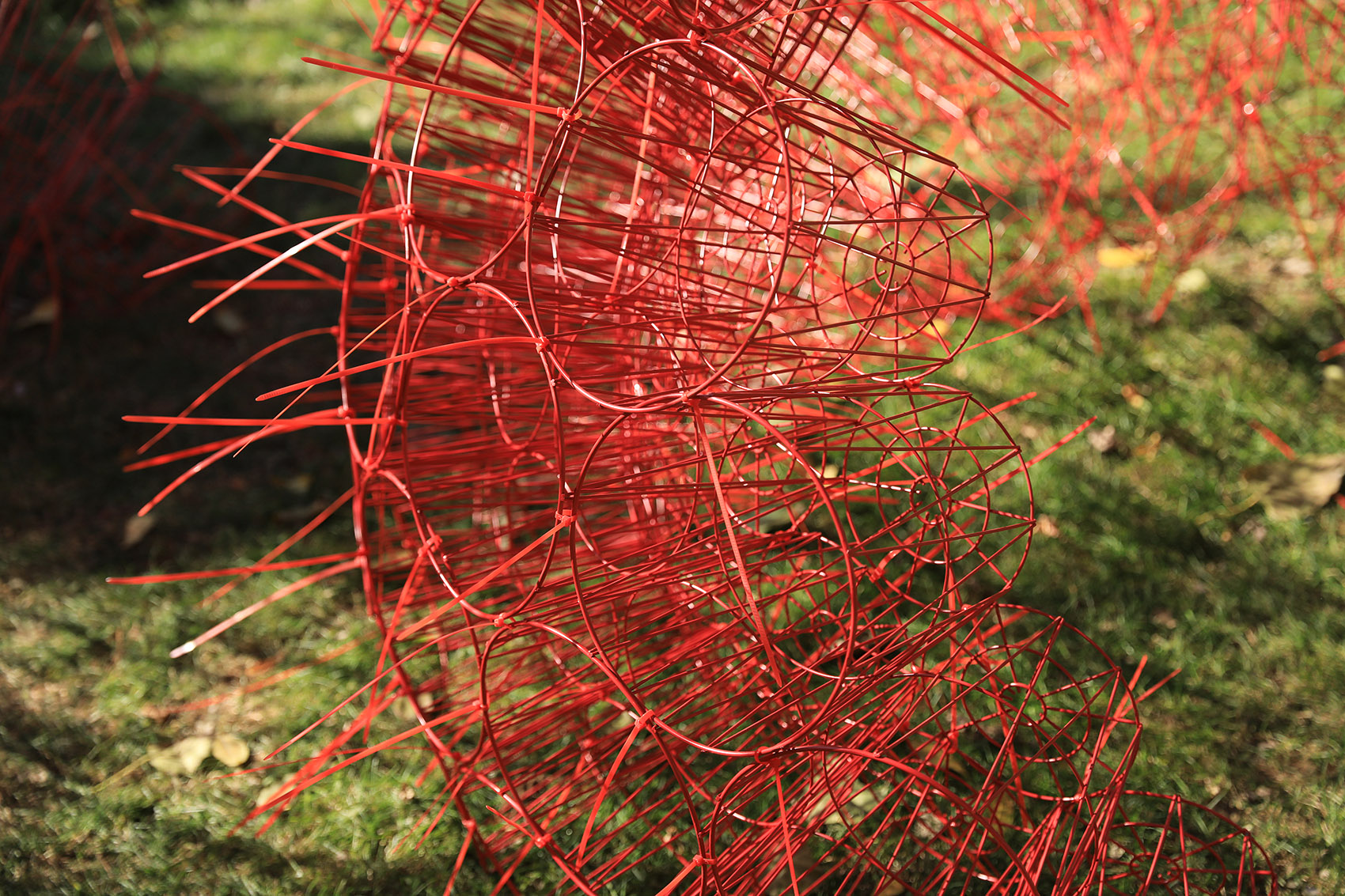 red rock china by beijing forestry university