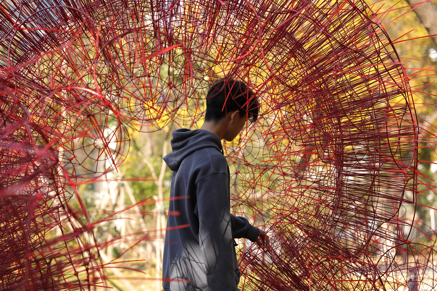 red rock china by beijing forestry university