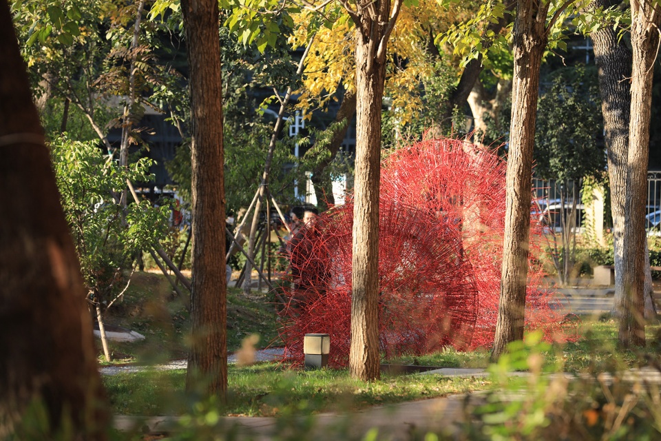 red rock china by beijing forestry university