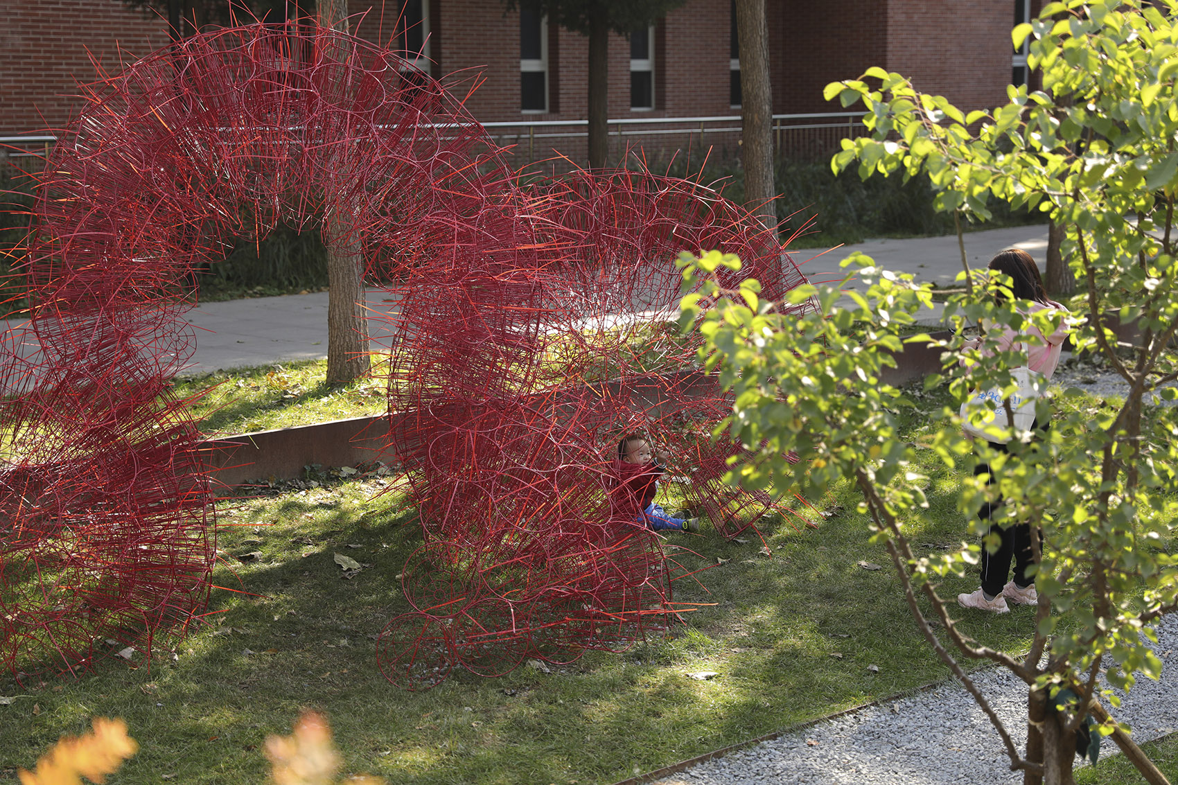 red rock china by beijing forestry university