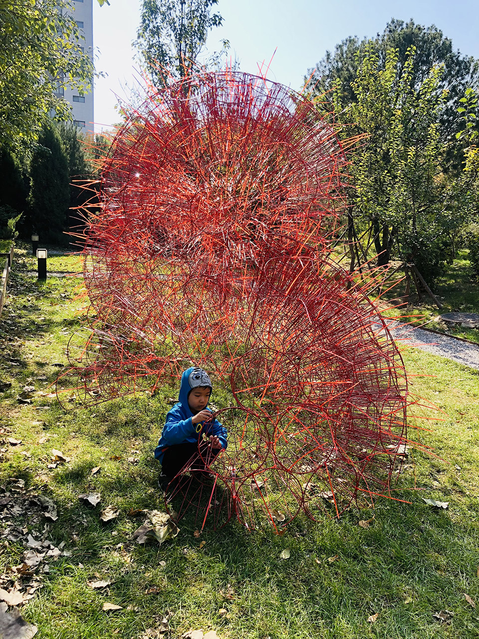 red rock china by beijing forestry university