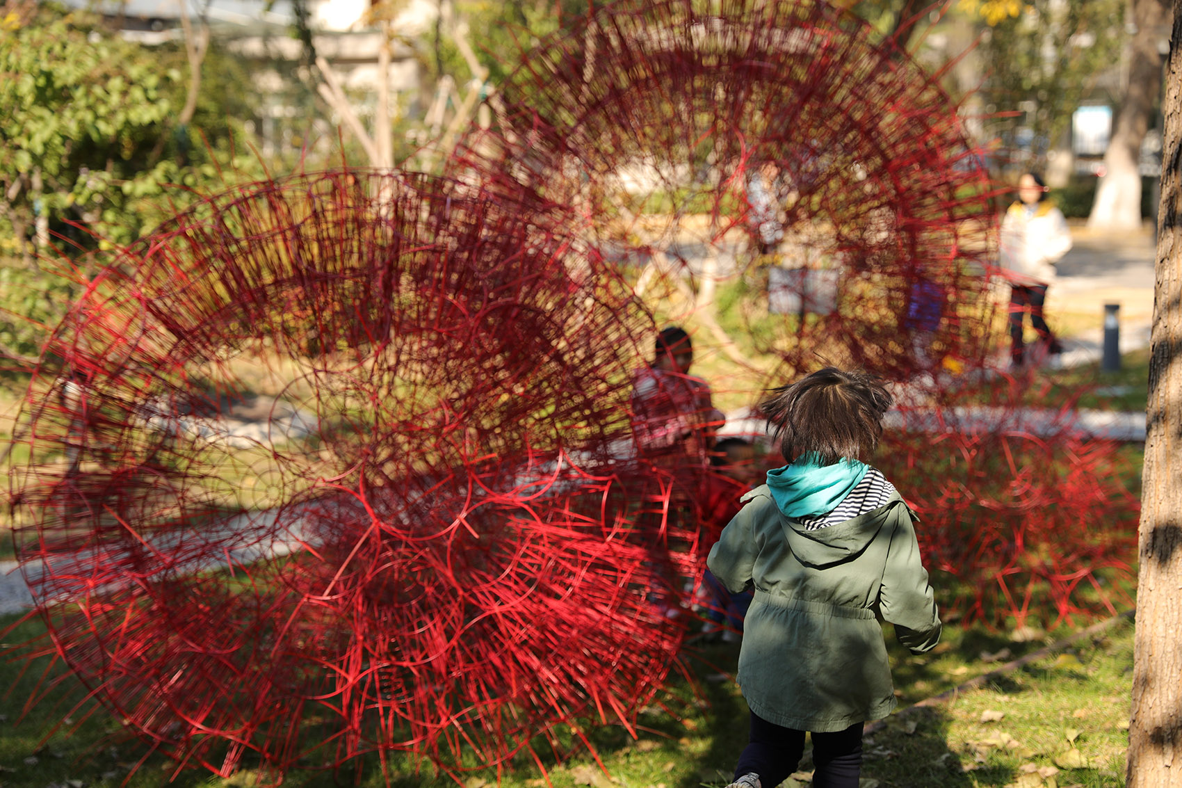red rock china by beijing forestry university