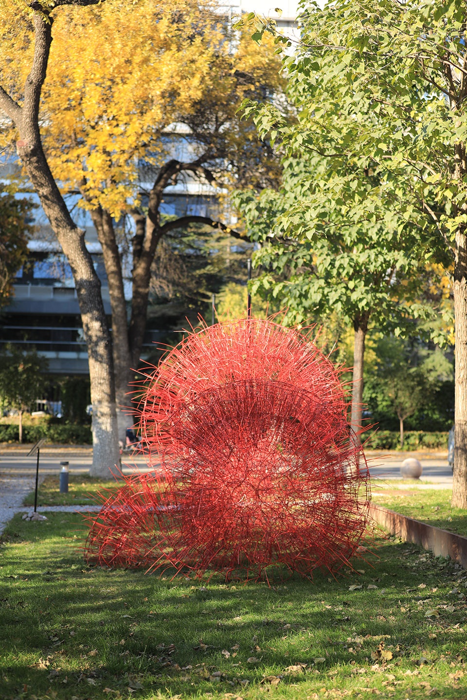 red rock china by beijing forestry university