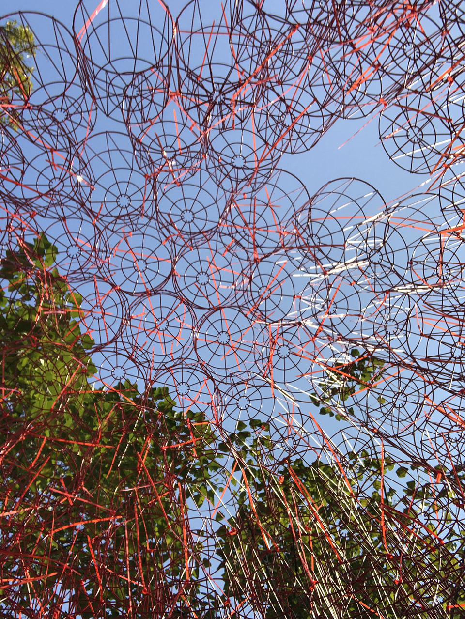 red rock china by beijing forestry university