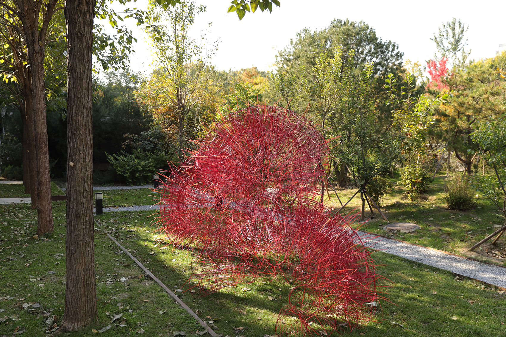 red rock china by beijing forestry university