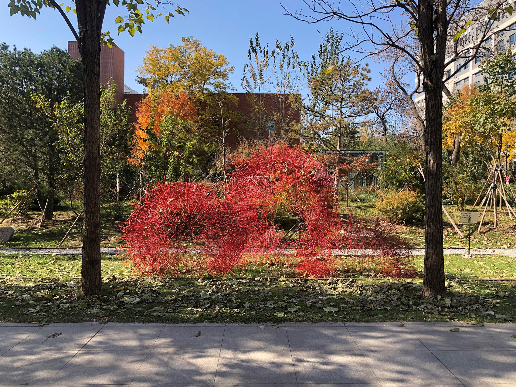 red rock china by beijing forestry university