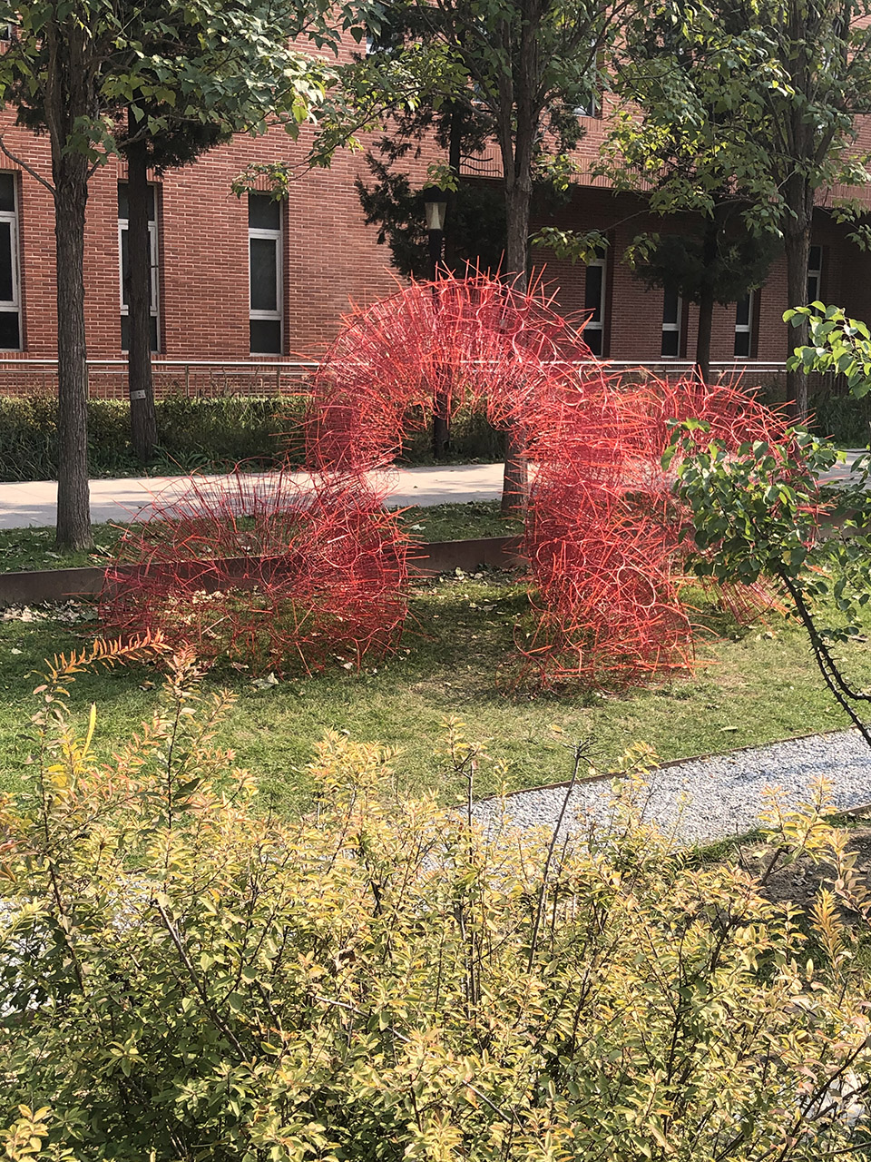 red rock china by beijing forestry university