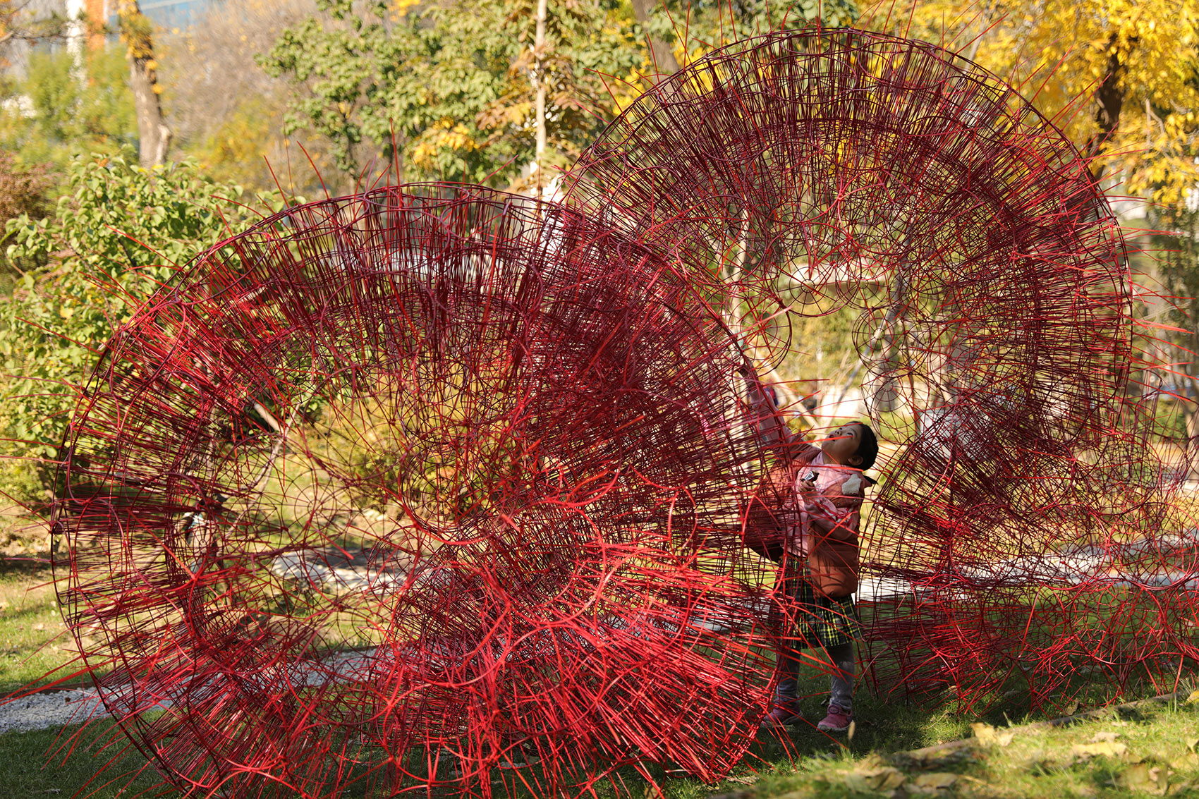 red rock china by beijing forestry university