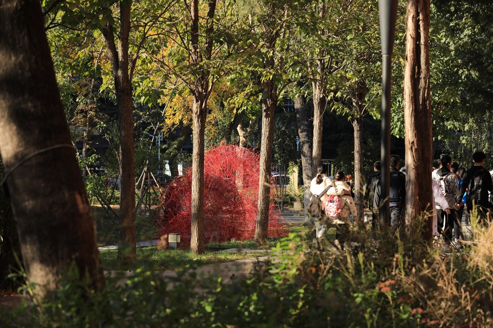 red rock china by beijing forestry university