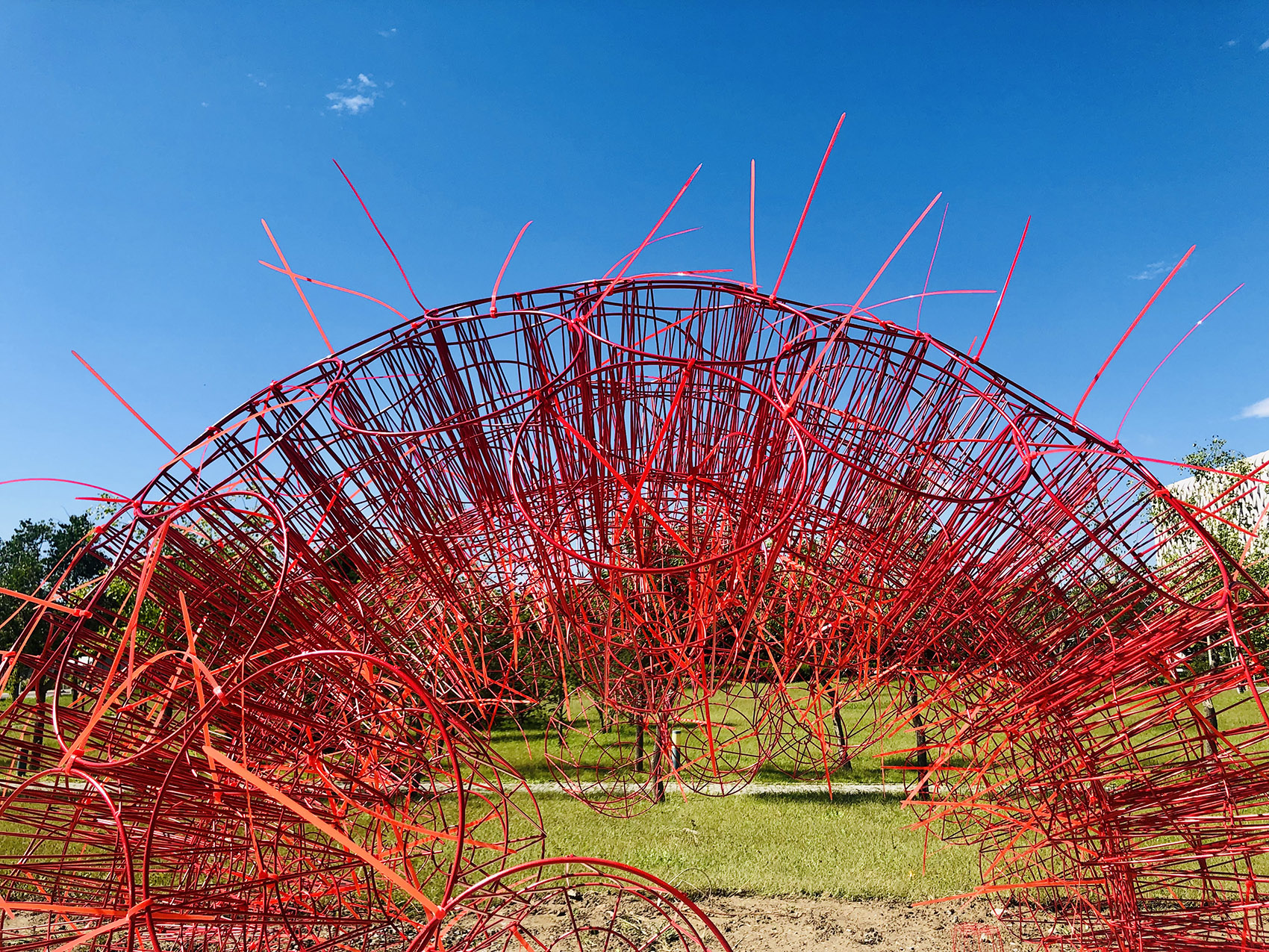 red rock china by beijing forestry university