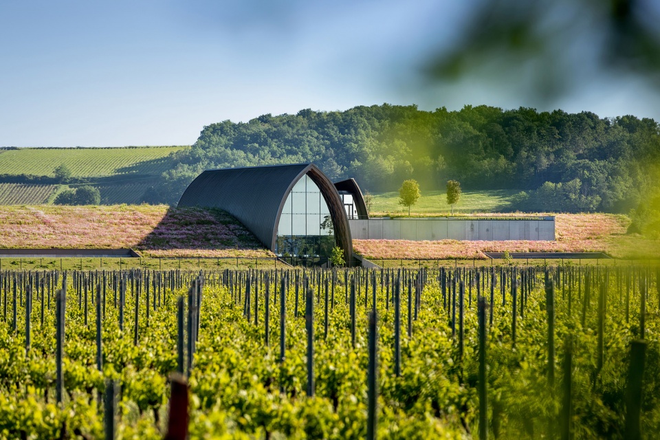 GALLEON Fine Wines by Eric Castagnotto Architecte DPLG