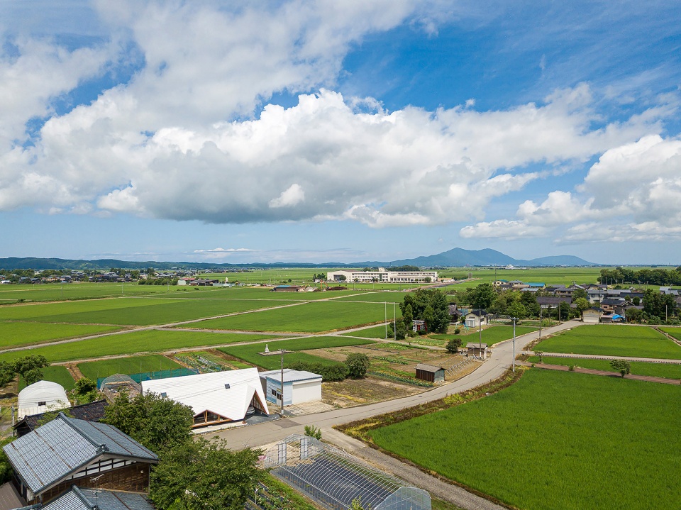 Hara House Takeru Shoji Architects