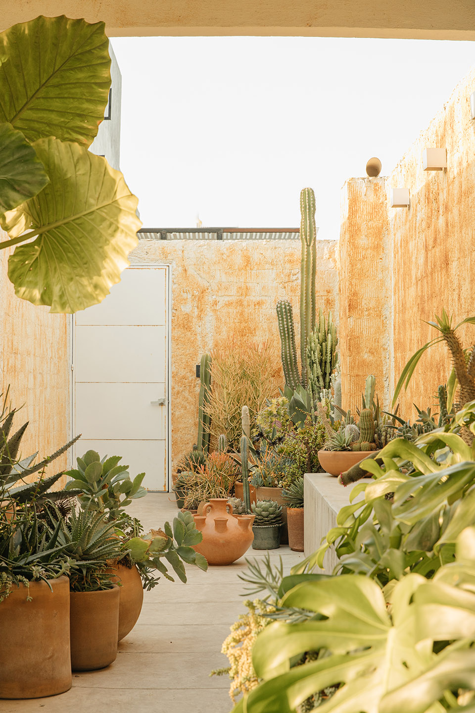 ROMA Rooftop by Marc Pascal ODA
