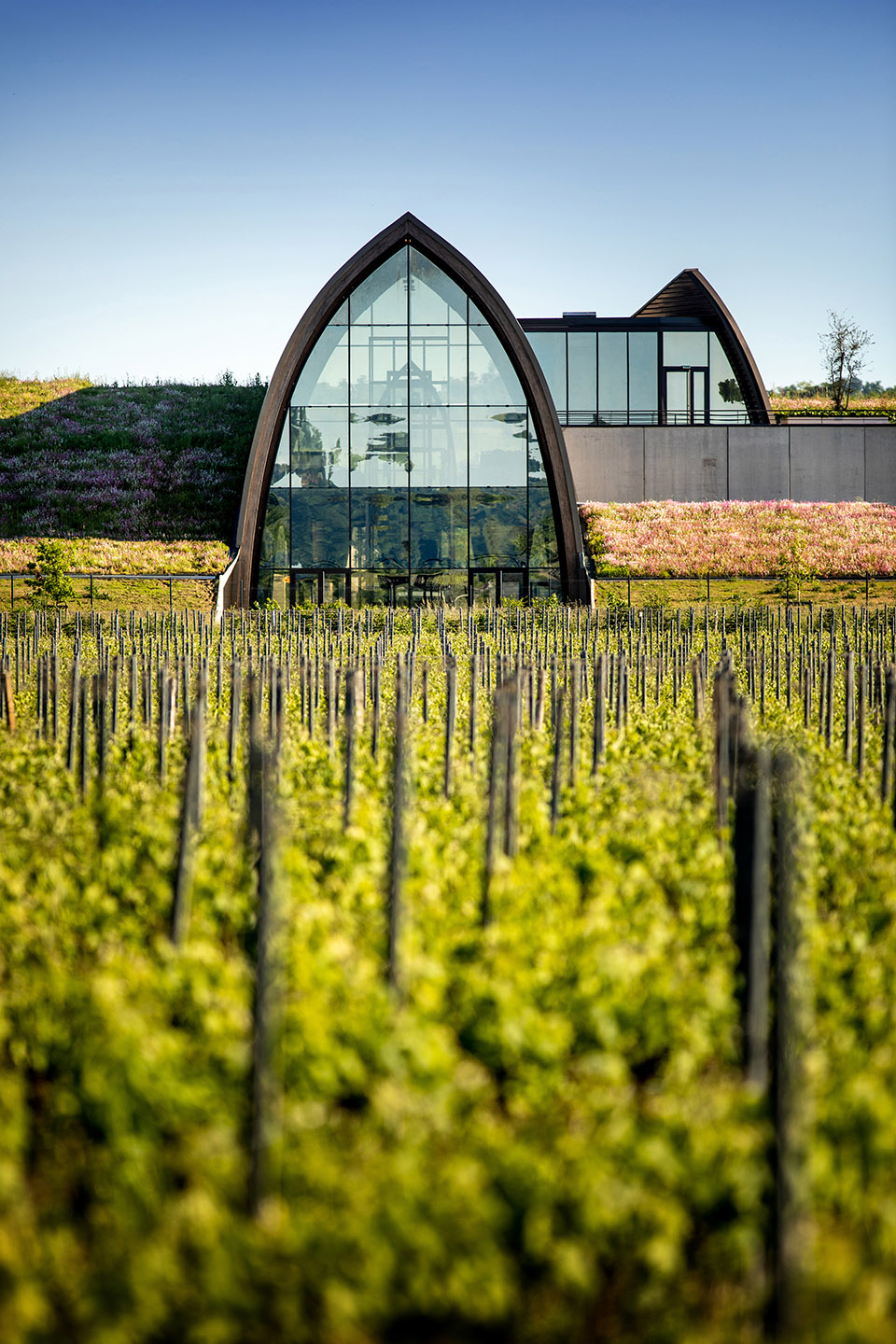 GALLEON Fine Wines by Eric Castagnotto Architecte DPLG