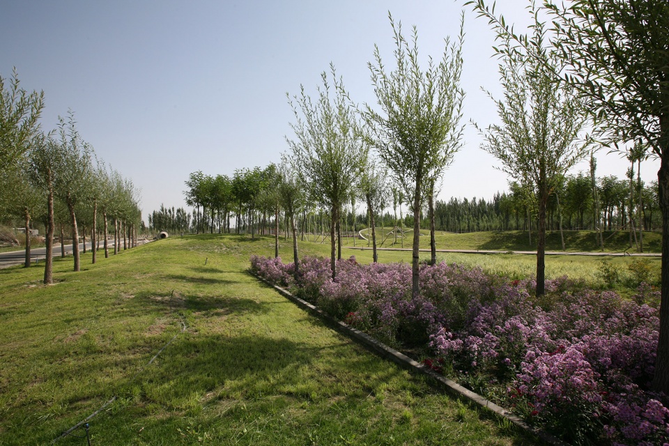 Xinjiang Bazhou Heshuo Solidarity Park R land