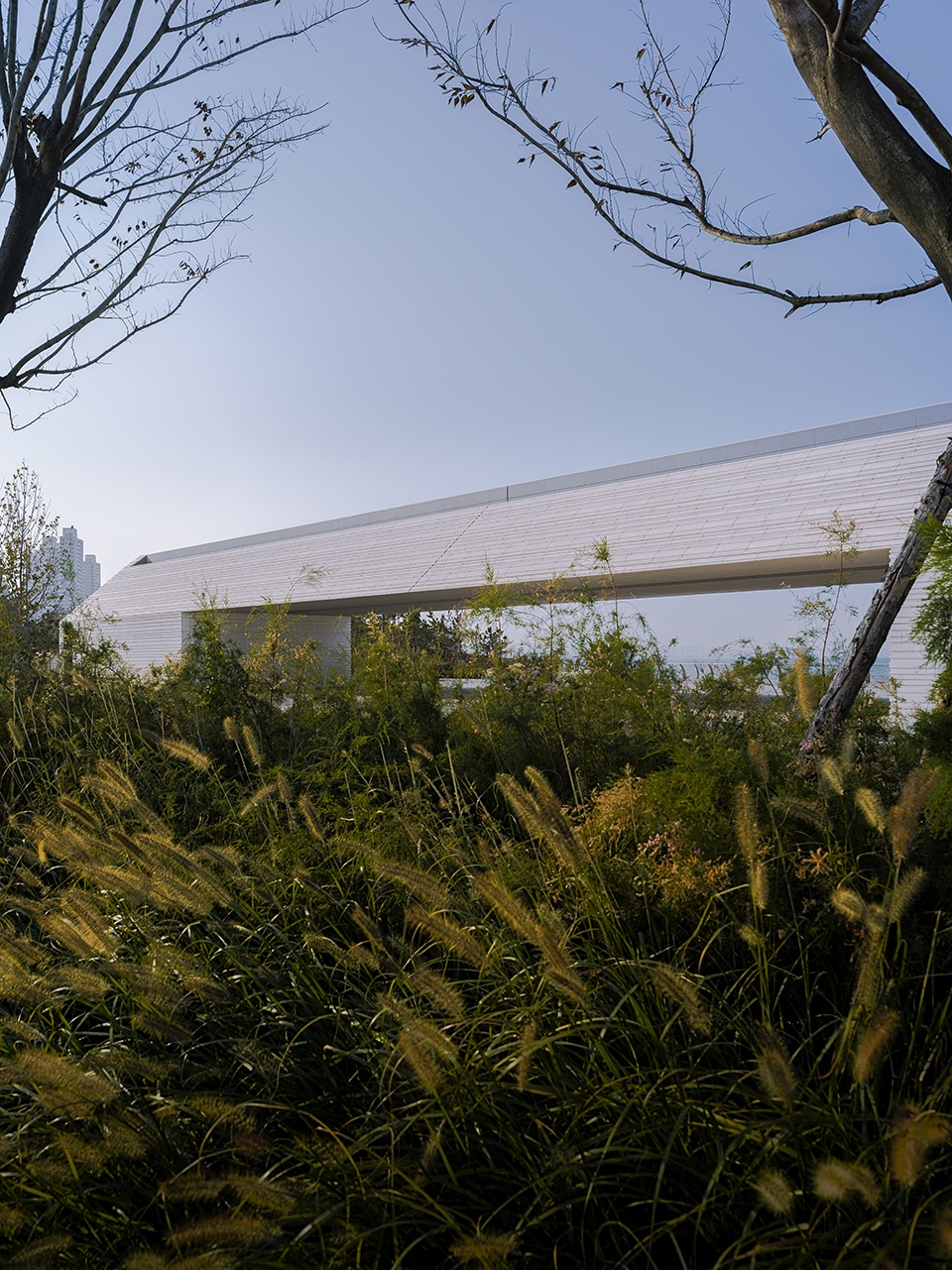seashore linear house china by oikos