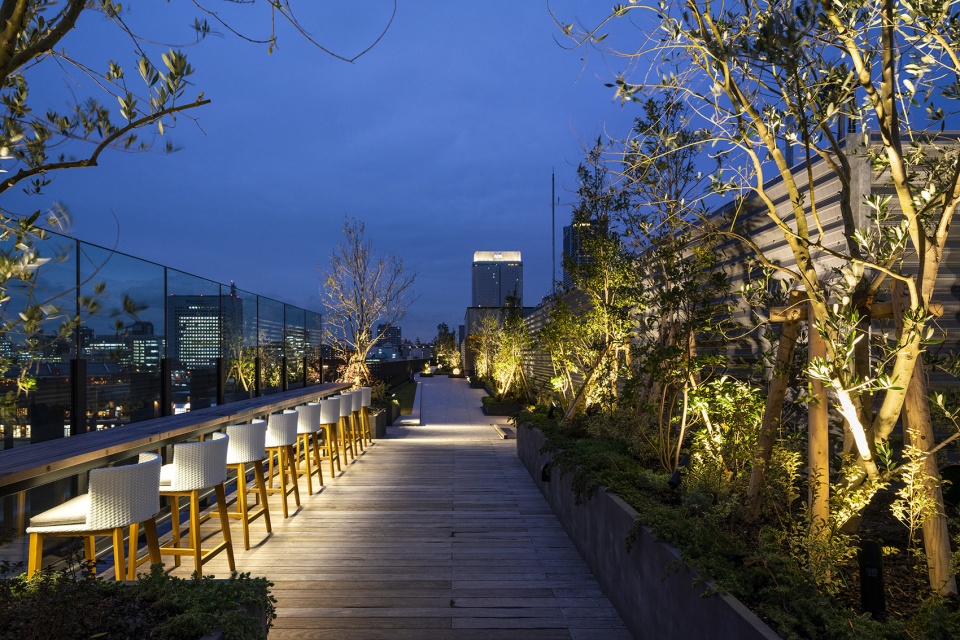 Yokohama Hammerhead Yoshiki Toda Landscape Architect