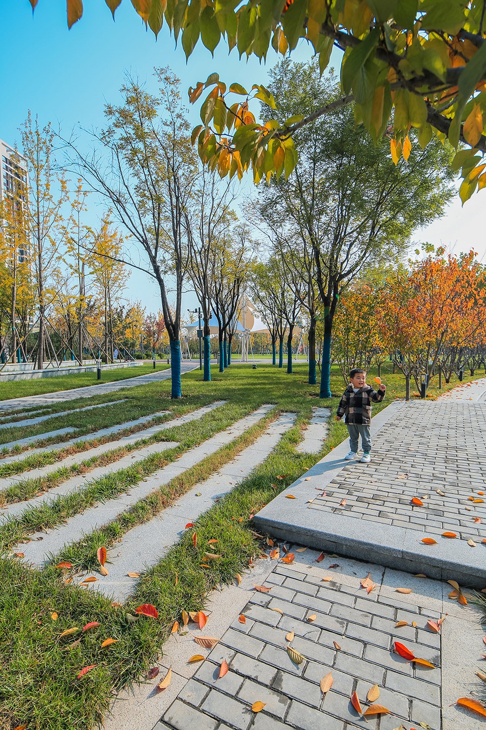 Ecological Wetland Sports Health Park of Sha River Corridor Atlas