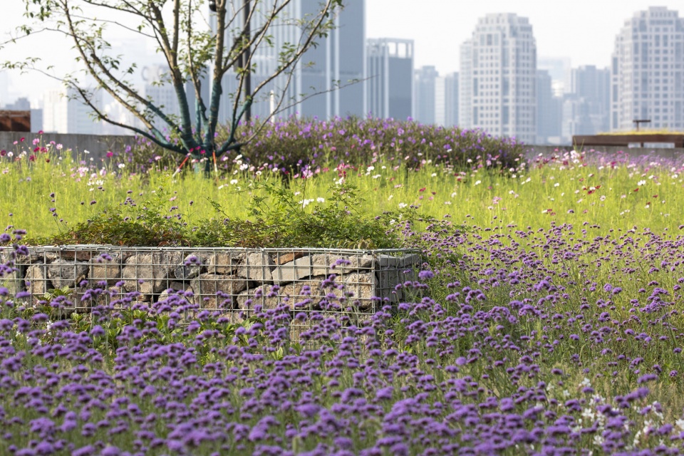 yang pu riverfront urban space renovation power station auxiliary east building by atelier liu yuyang architects