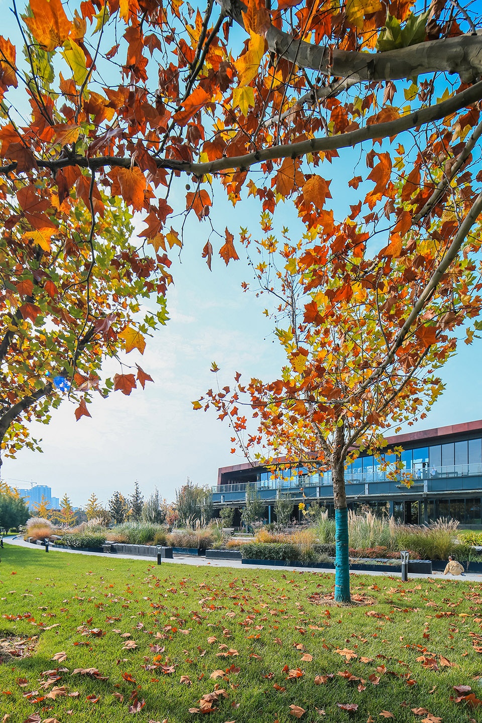 Ecological Wetland Sports Health Park of Sha River Corridor Atlas
