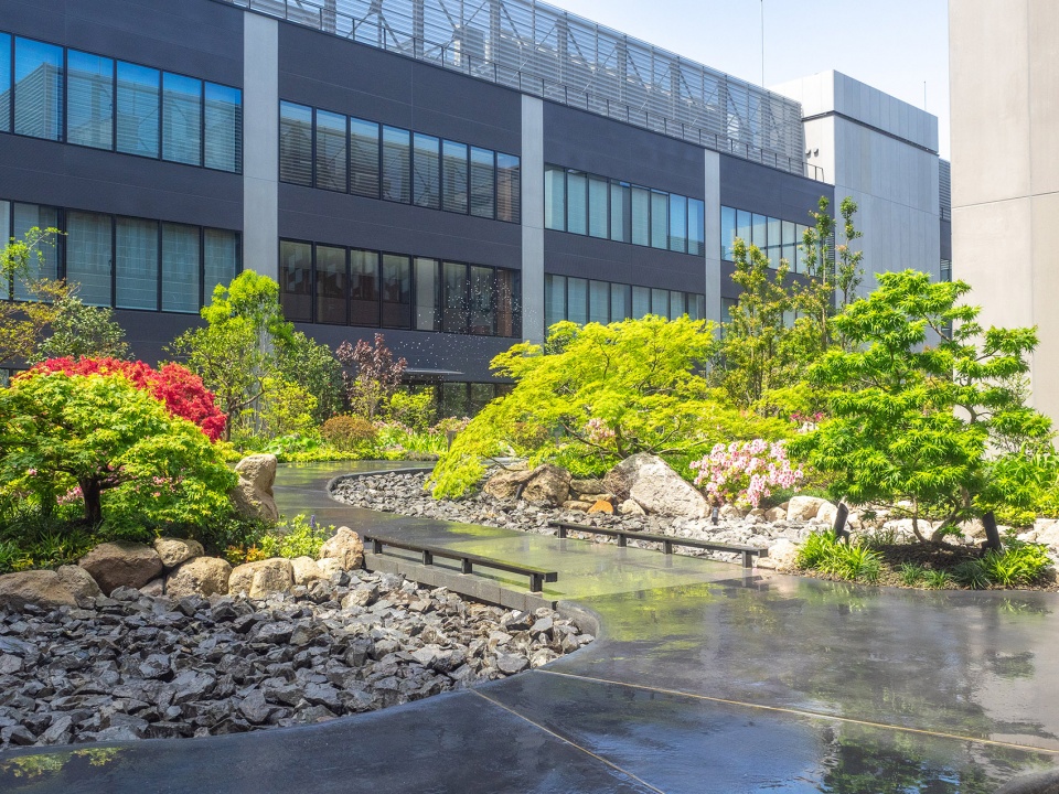 Yokohama Hammerhead Yoshiki Toda Landscape Architect