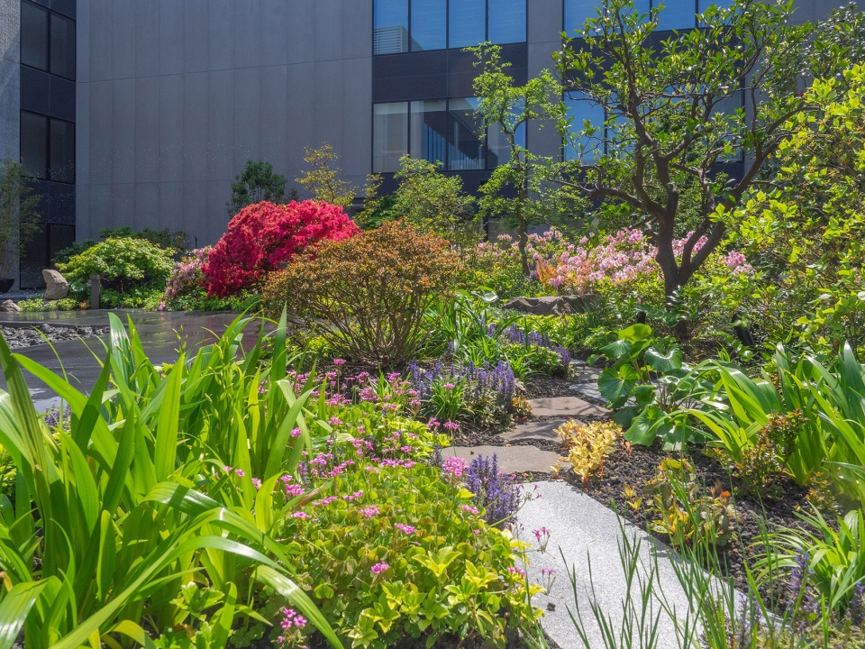 Yokohama Hammerhead Yoshiki Toda Landscape Architect