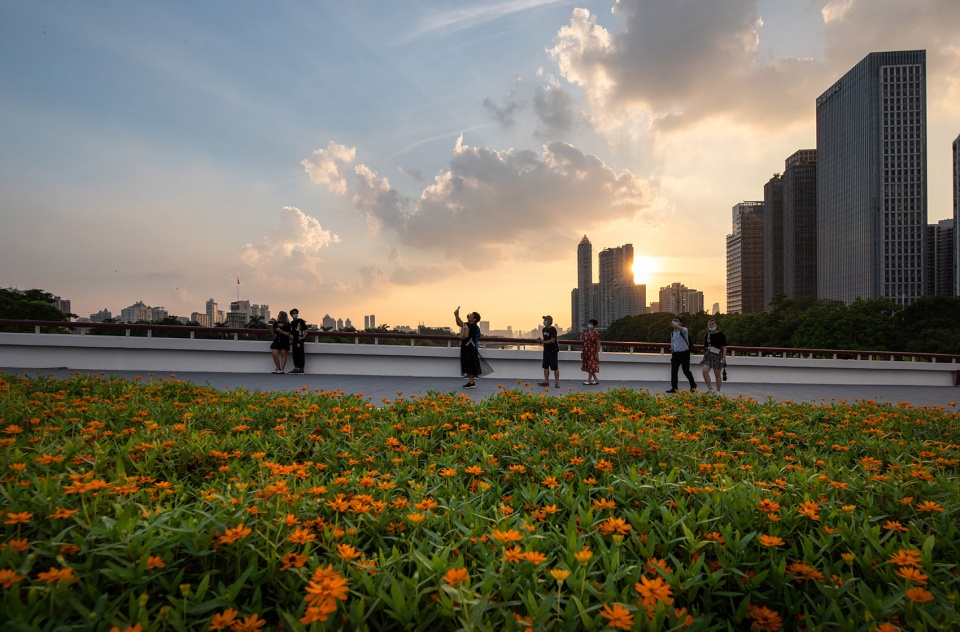 Haixin Bridge North Bank Landscape Renewal Project SCUT