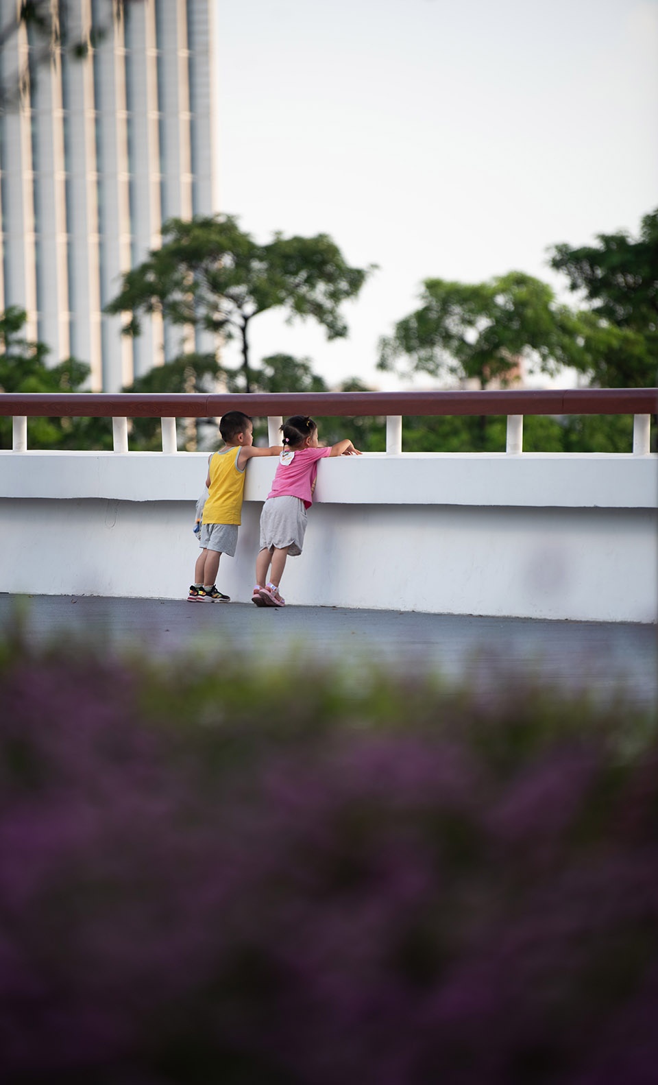 Haixin Bridge North Bank Landscape Renewal Project SCUT