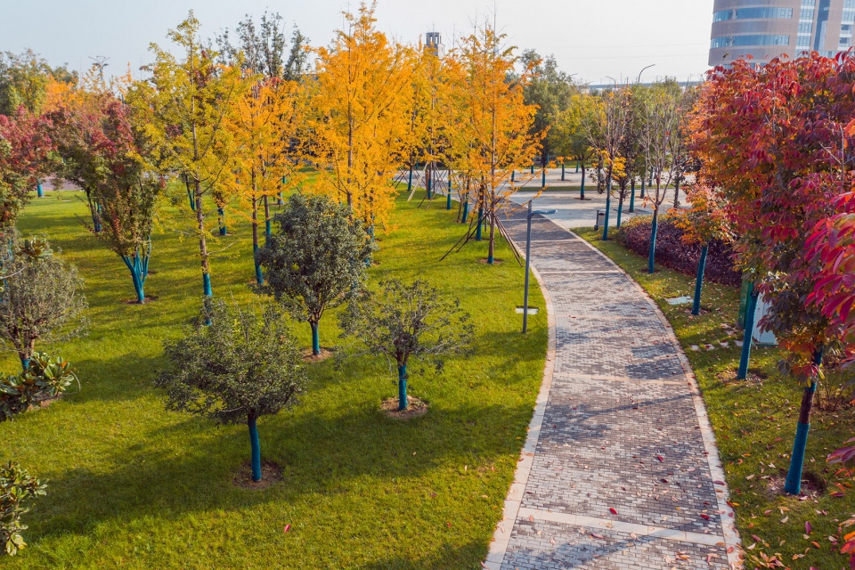 Ecological Wetland Sports Health Park of Sha River Corridor Atlas