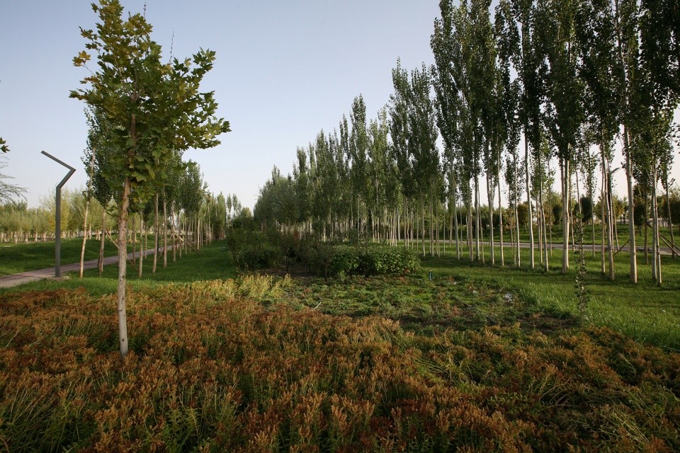 Xinjiang Bazhou Heshuo Solidarity Park R land