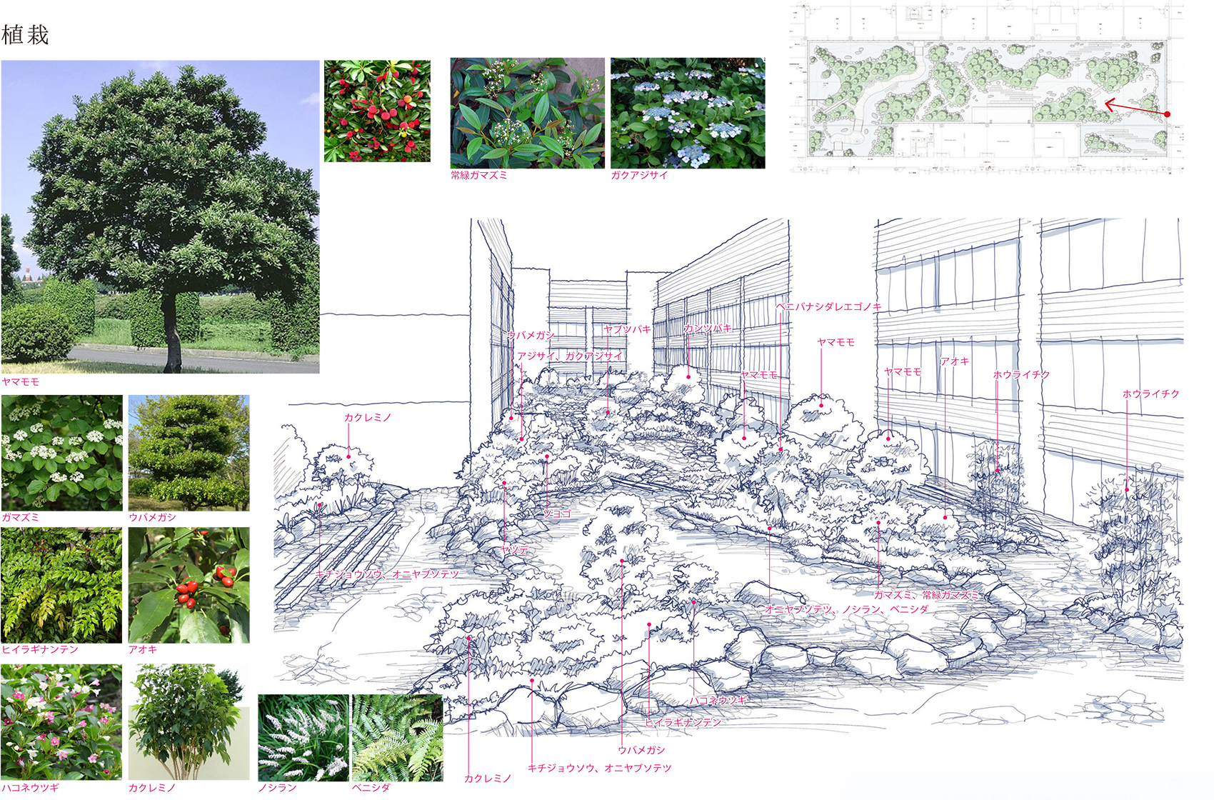 Yokohama Hammerhead Yoshiki Toda Landscape Architect 1