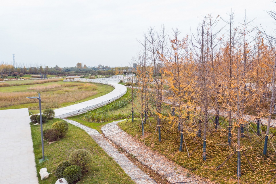 Ecological Wetland Sports Health Park of Sha River Corridor Atlas