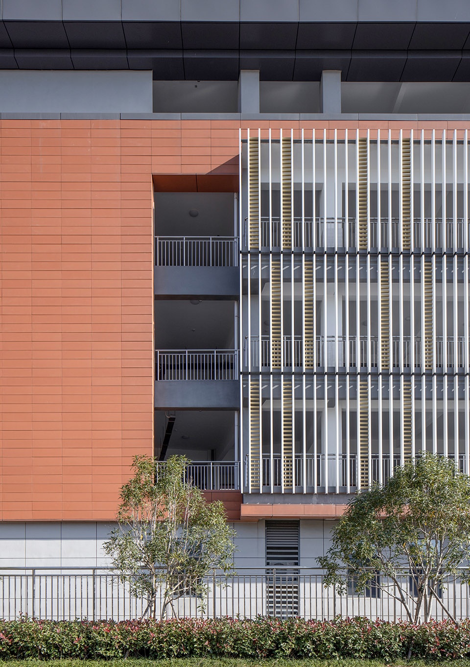 tongling xihu new district middle school and primary school anhui china by horizon design