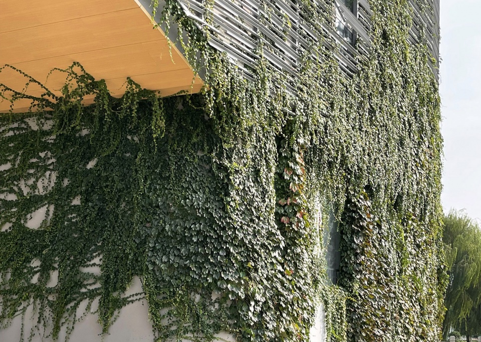 Bridge Learning Center Perform Design Studio 1