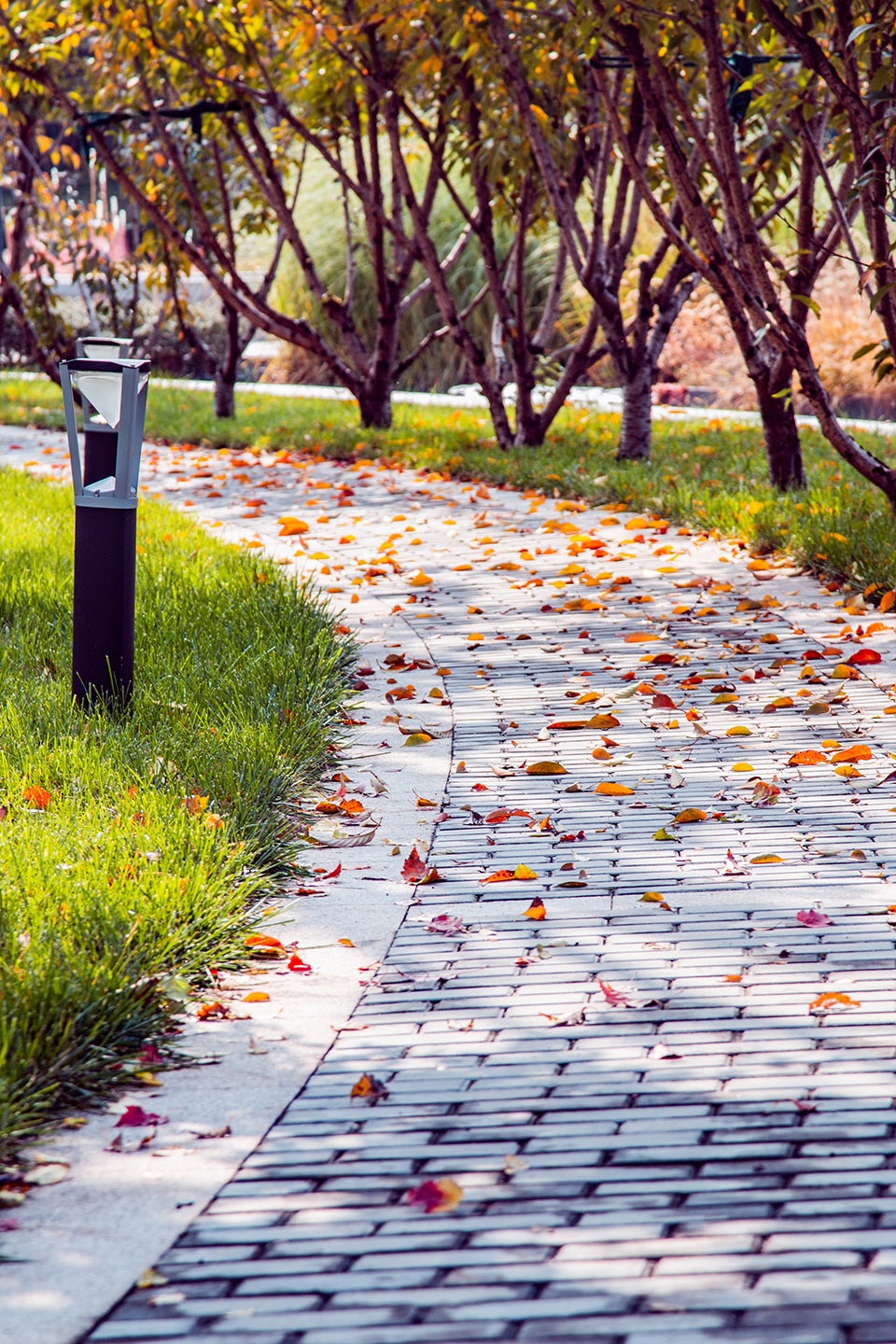 Ecological Wetland Sports Health Park of Sha River Corridor Atlas