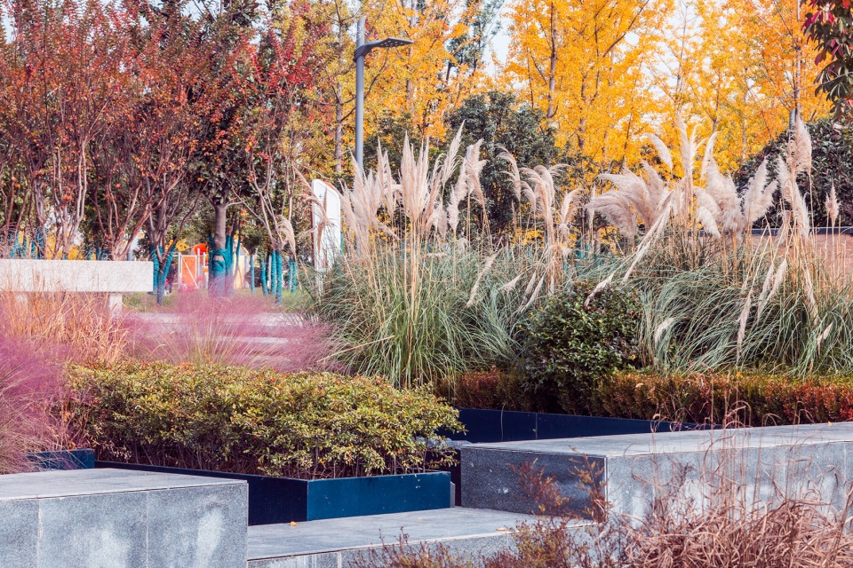 Ecological Wetland Sports Health Park of Sha River Corridor Atlas