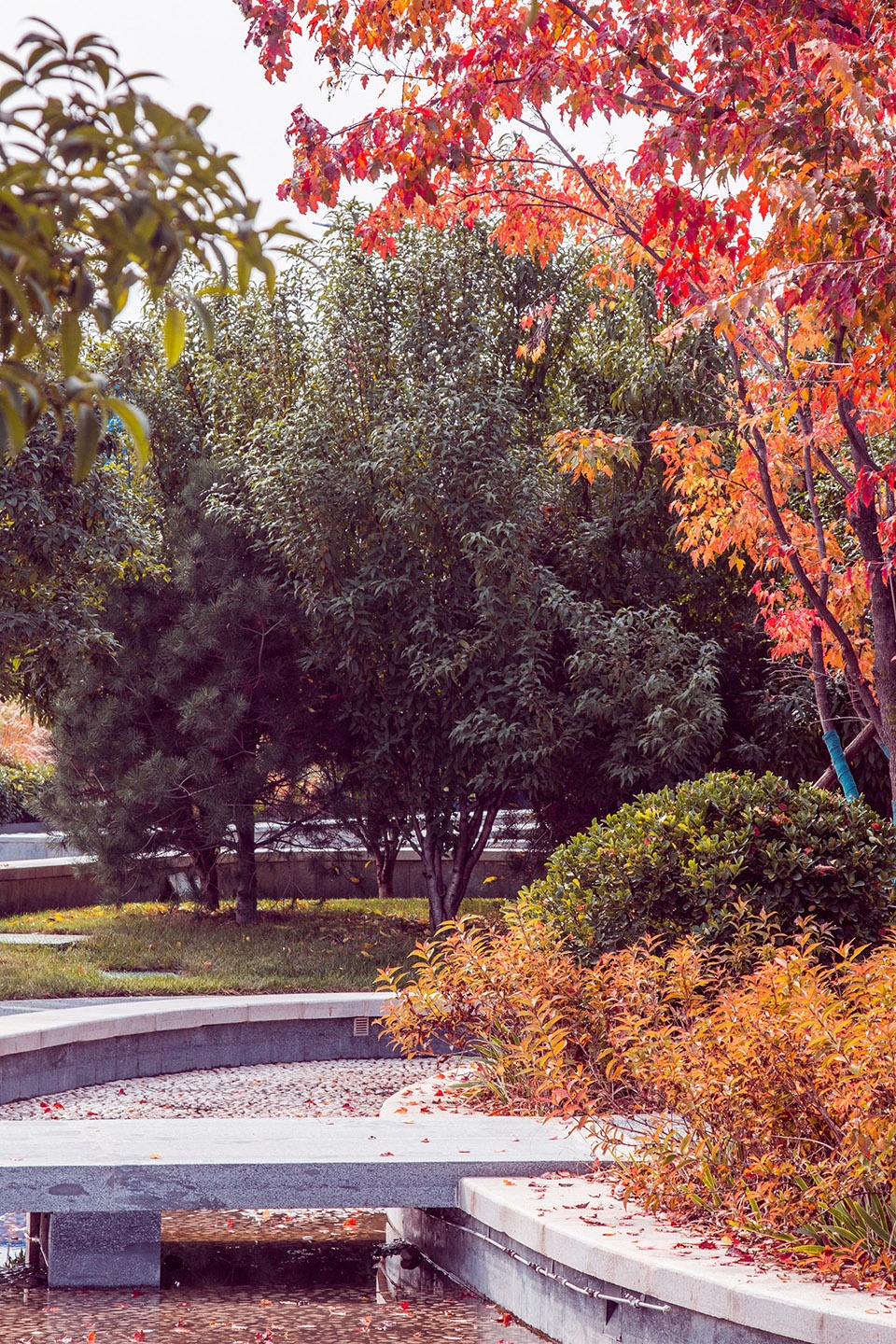 Ecological Wetland Sports Health Park of Sha River Corridor Atlas