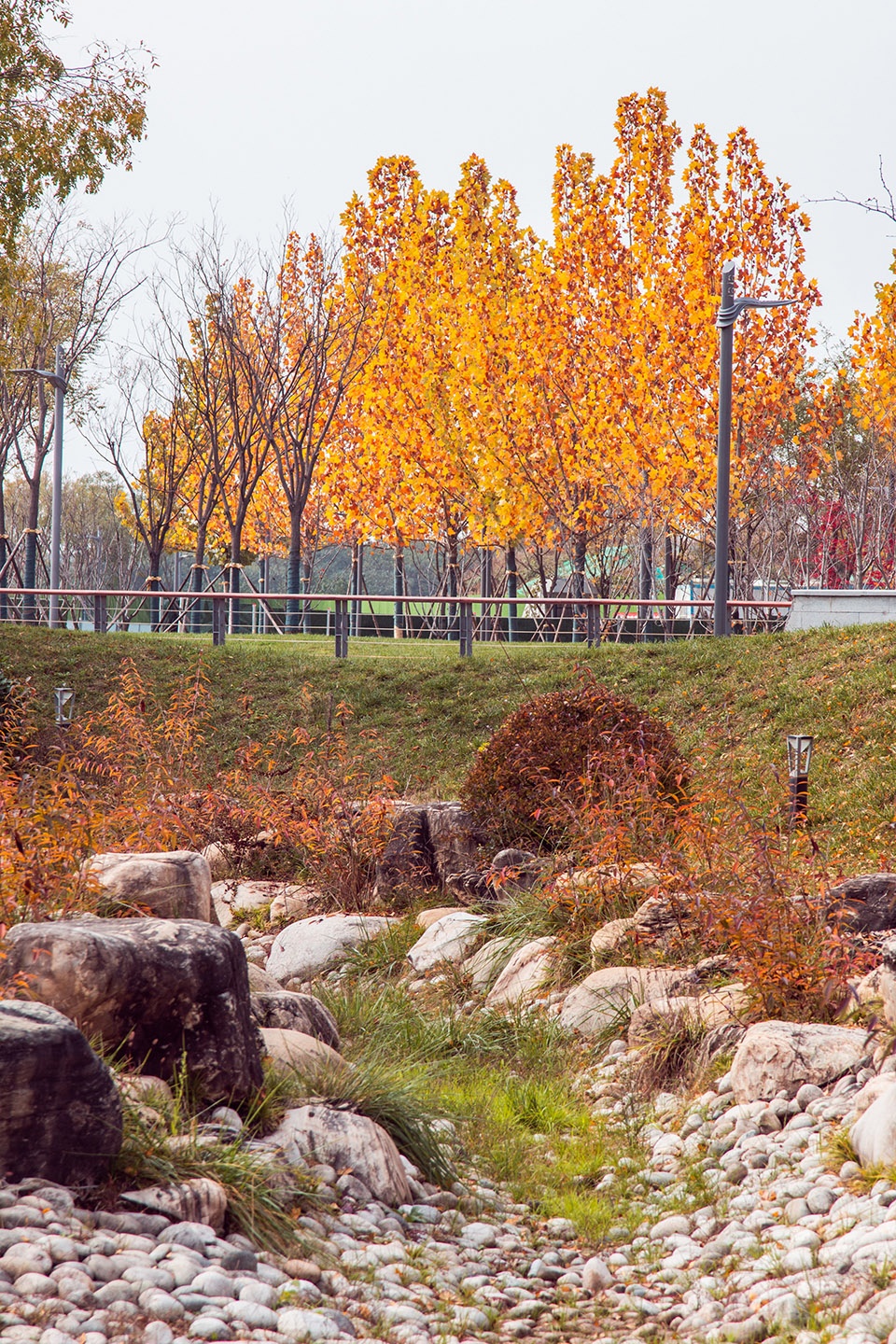 Ecological Wetland Sports Health Park of Sha River Corridor Atlas