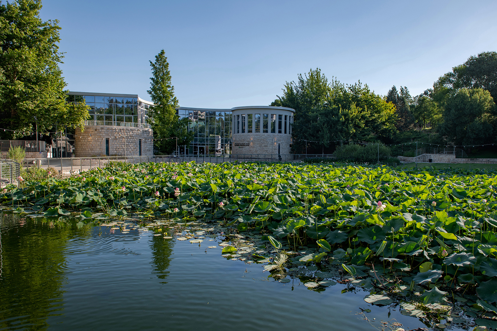 botanical garden event center by matti rosenshine architects