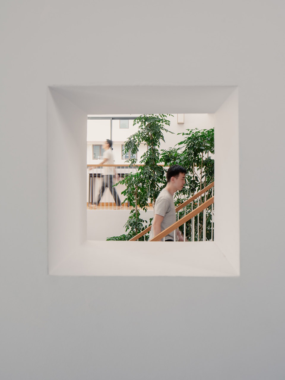 envelope house by asolidplan