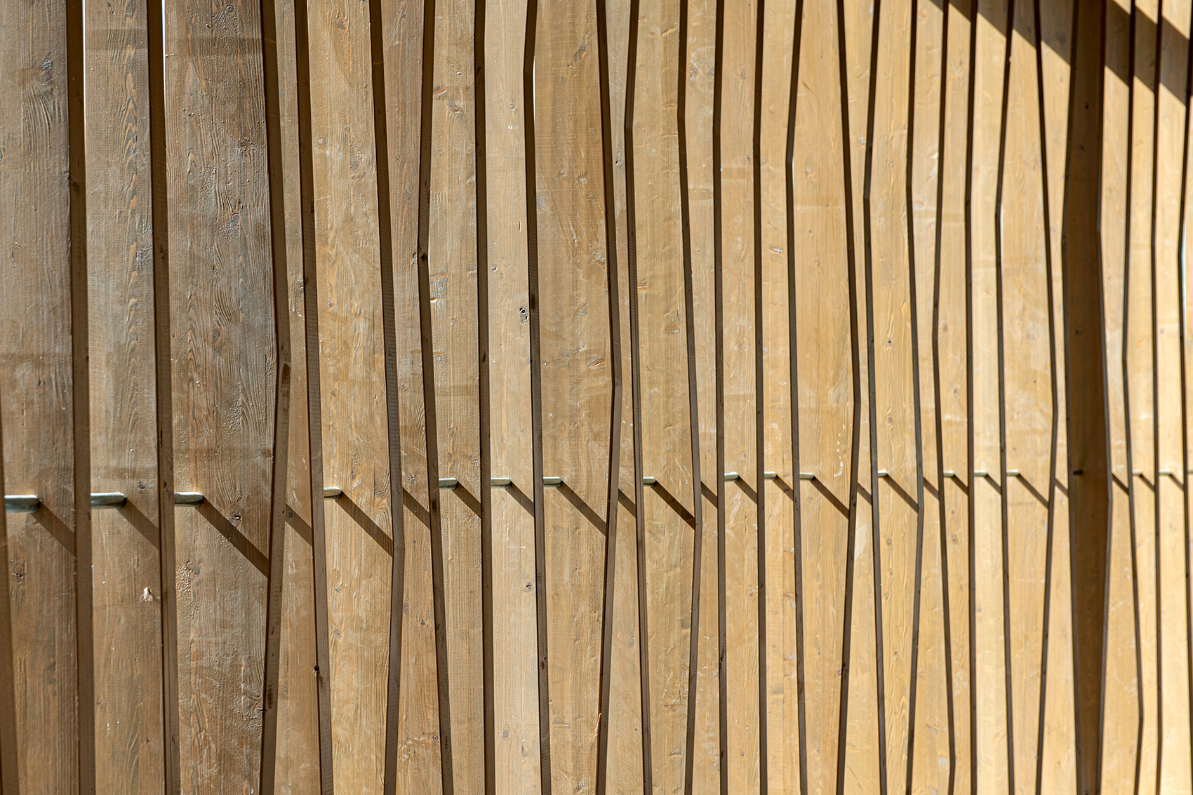 botanical garden event center by matti rosenshine architects