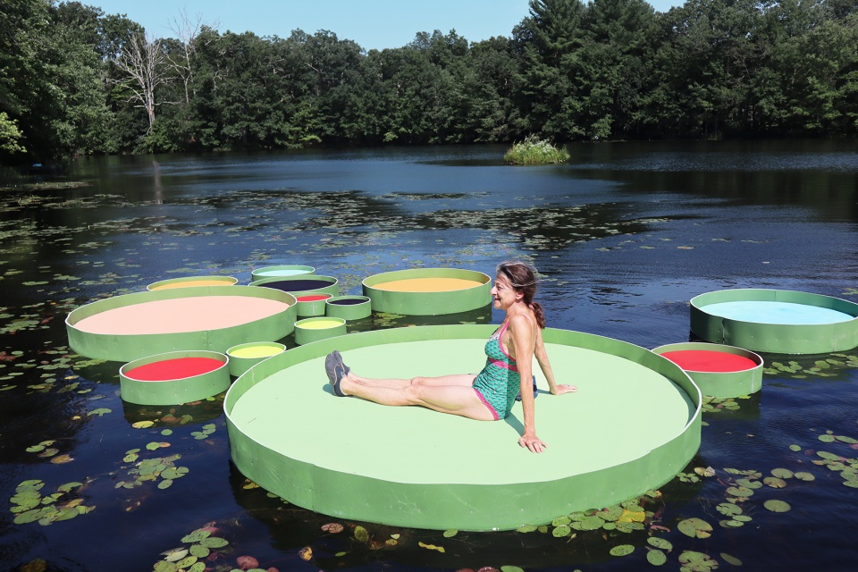 the lily project by jaemee studio